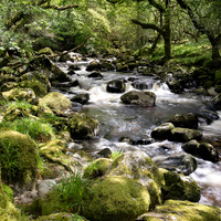 _NZ95600-Edit