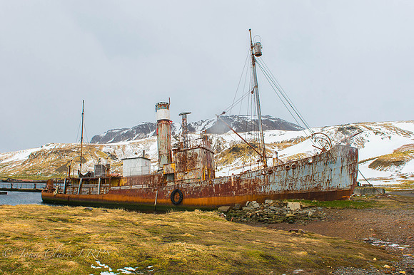_DSC0577