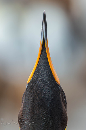 _DSC0159
