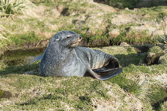 _DSC0783
