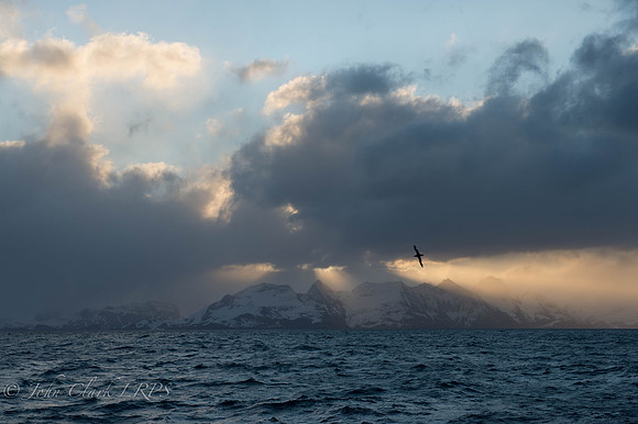 _DSC0548