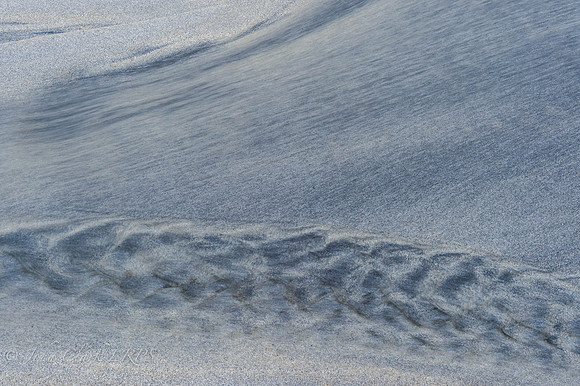_DSC8212