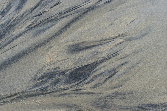 _DSC8217