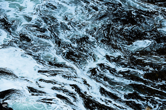 _D8A8998