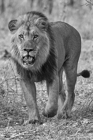 _DSC4163-Edit-Edit