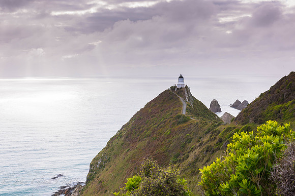 _D8A9176- Nugget Point