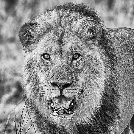 _DSC4164-Edit