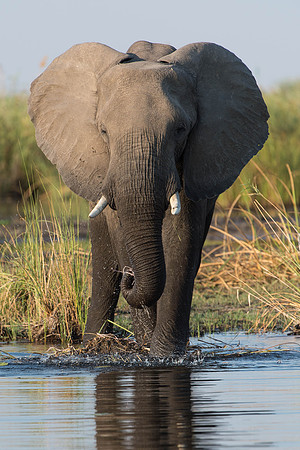 _DSC3900