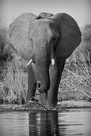 _DSC3900-Edit