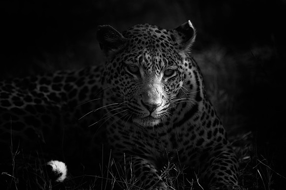 _DSC3082-Edit