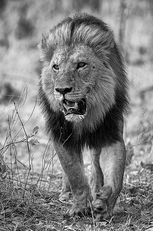 _DSC4173-Edit