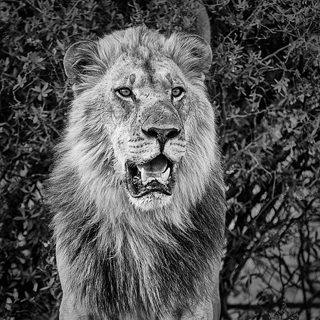 _DSC4178-Edit-Edit