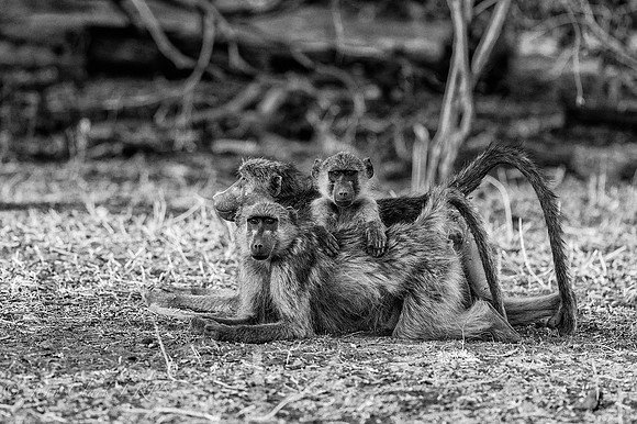 _DSC3484-Edit