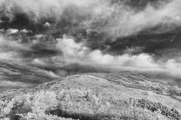 _DSC0011-Edit