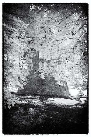 _DSC0083-Edit