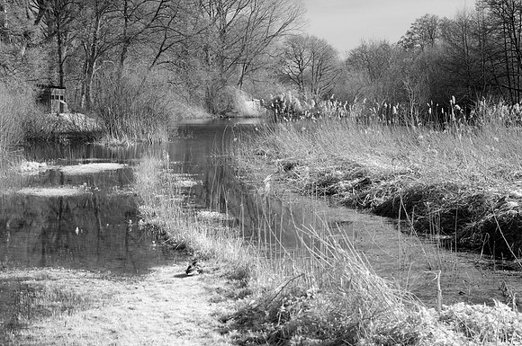 _DSC9871 PS Actions