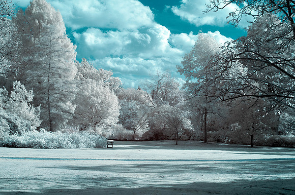 _DSC9916-Edit False colour
