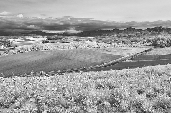 _DSC0001-Edit