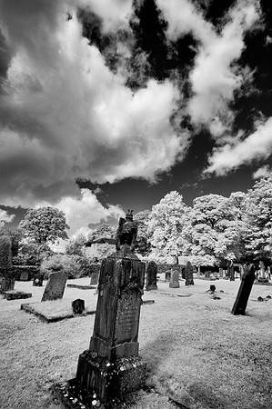 _DSC0078-Edit