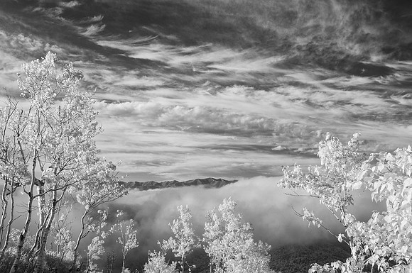 _DSC0005-Edit