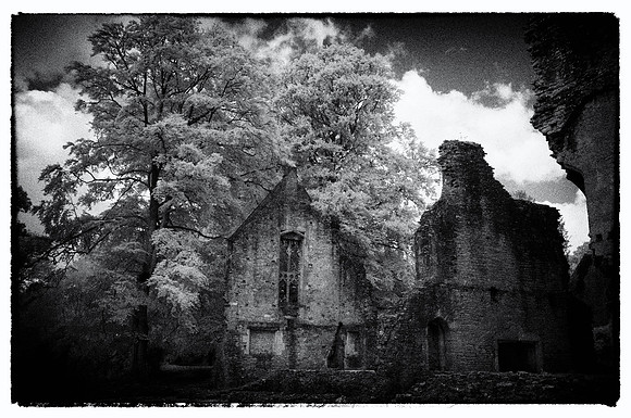 Film Noir_DSC0080-Edit