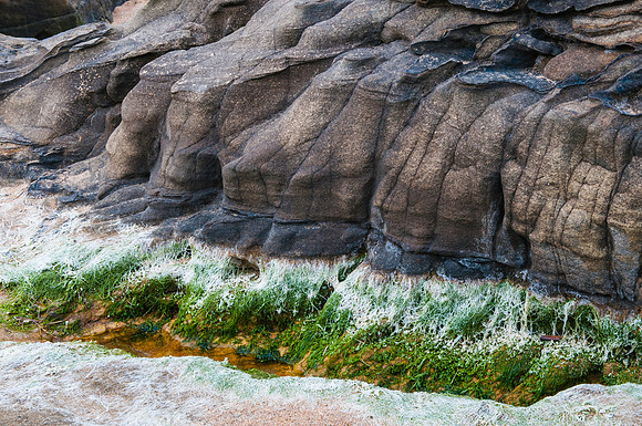 Miniature Costal Landscape 0410_Northumberland_188